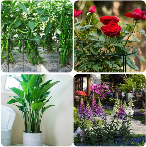 Miniatura 6 de TCBWFY Paquete de 10 estacas de soporte para plantas de peonía, 10 pulgadas de ancho x 24 pulgadas, jaulas de peonía de alta resistencia de 0.177 in