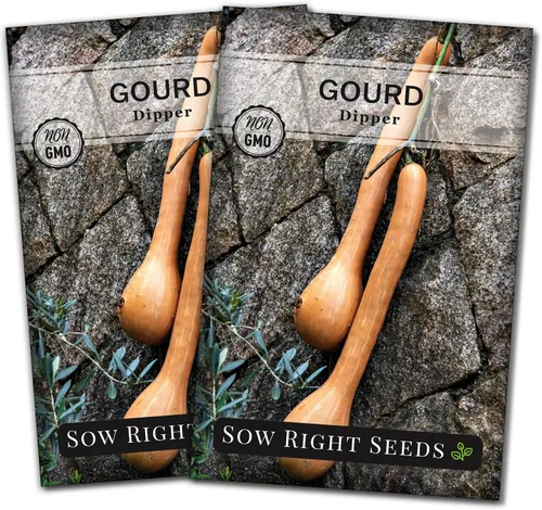 Miniatura 7 de Sow Right Seeds - Semillas de calabaza Dipper para plantar - Paquete de reliquia sin OMG con instrucciones para plantar y cultivar un huerto