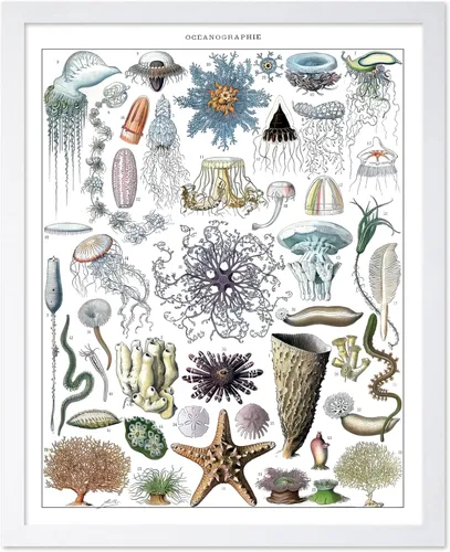 Miniatura 24 de Poster Master Póster vintage de miel, impresión retro de La Vie De L'Abeille, arte de panal de abeja, arte de pared de abeja, regalo para hombres