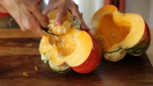 Miniatura 3 de TomorrowSeeds - Turk's Turbante Semillas de calabaza - Más de 20 unidades - Para plantar en 2025 en Estados Unidos Jardín Vegetal Calabaza Calabaza