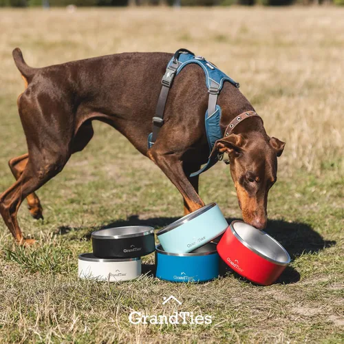 Miniatura 9 de GrandTies Cuenco de acero inoxidable para perros Comedero para mascotas reutilizable con aislamiento sin BPA Plato grande y resistente Azul