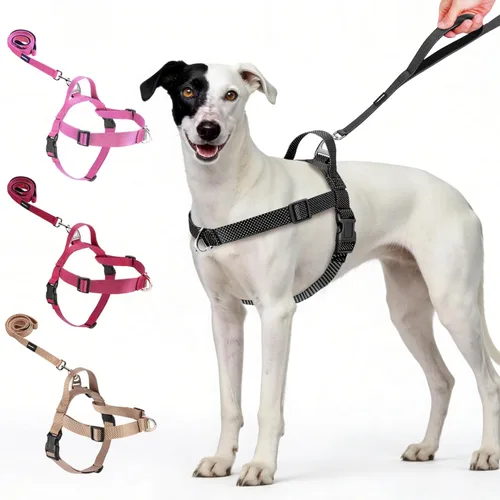 Annchwool Arnés para perro sin tirones con clip frontal y asa de fácil control, arnés ajustable para el vientre y el pecho y correa para perros