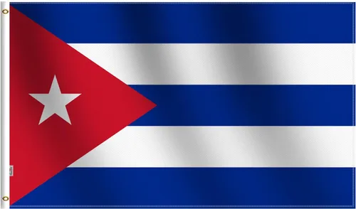 Miniatura 7 de Bandera argentina de 3 x 5 pies, grande, poliéster 100D en ambos lados para exteriores e interiores moderados, ojales de latón con cabecera de lona