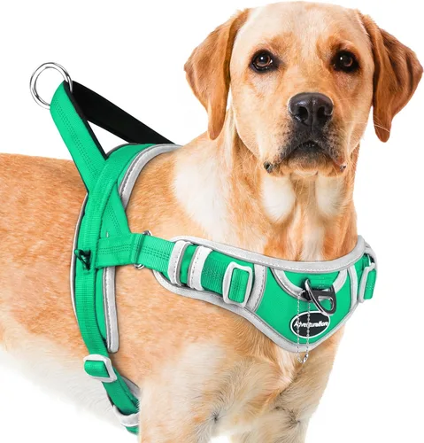 Miniatura 16 de ADVENTUREMORE Arnés para perros grandes, antitirones, arnés deportivo para perro, reflectante, transpirable, chaleco para perro, a prueba de Al