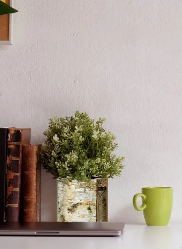 Miniatura 2 de Serene Spaces Living Jarrón grande de corteza de abedul blanco con interior de vidrio, centro de mesa decorativo, pieza de acento rústica, ideal