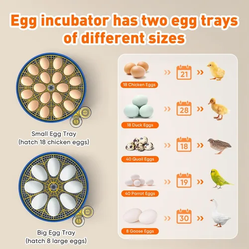 Miniatura 5 de MYPIN Incubadora de 18 huevos de gallina con control de temperatura, pantalla de humedad, giro automático de huevos, llenado automático de agua