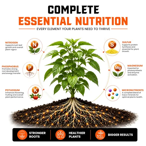 Miniatura 3 de Strive Fertilizer Part A Package – Nutrientes hidropónicos generales Veg + Bloom – Alimento vegetal de primera calidad para interiores, exteriores
