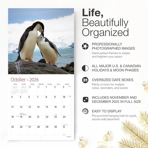 Miniatura 2 de RED EMBER Penguins - Calendario de pared 2026 de 12 meses, 12 x 24 pulgadas, abierto, papel grueso y resistente, para regalar, calendario