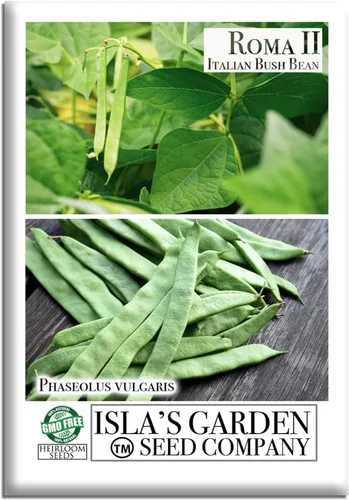 Semillas de frijol italiano Roma II para plantar, más de 30 semillas de reliquia por paquete, semillas de jardín de Isla (semillas de jardín de