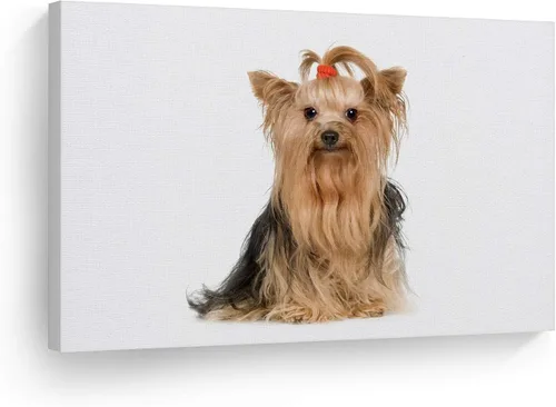 Miniatura 25 de Diseño de arte de la sonrisa Retrato de lindo Yorkie Yorkshire Terrier perro animal lienzo de pared impresión arte del dueño de mascotas amante
