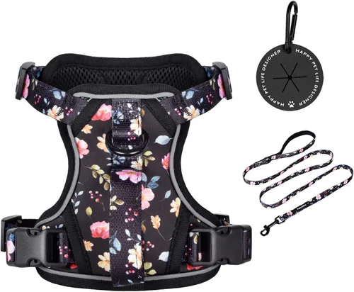 Miniatura 11 de Petmolico Arnés para perros pequeños, bonito arnés con dos clips para correa y mango suave, chaleco reflectante para cachorros fácil de caminar