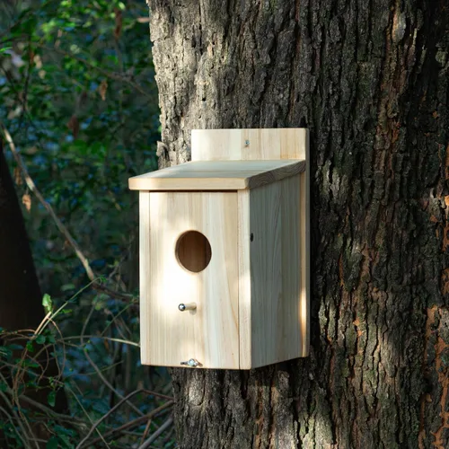 Miniatura 2 de Casas de madera para pájaros para pajareras exteriores, nido Bluebird House para cardenales, pinzón, Wren, golondrina, para ver el jardín, 1A #