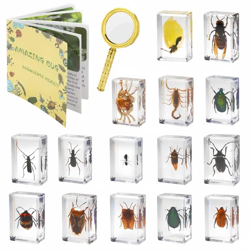 Miniatura 8 de Especímenes de murciélago reales, especímenes de animales de resina, cráneos de animales, peculiaridades, biología, para entusiastas de muestras