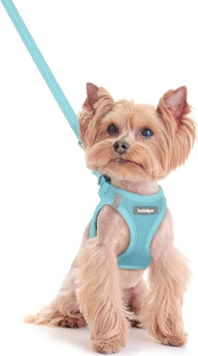 Miniatura 65 de rabbitgoo Juego de arnés para perro de tamaño pequeño y correa, chaleco ligero suave para cachorro, arnés de malla transpirable para mascotas