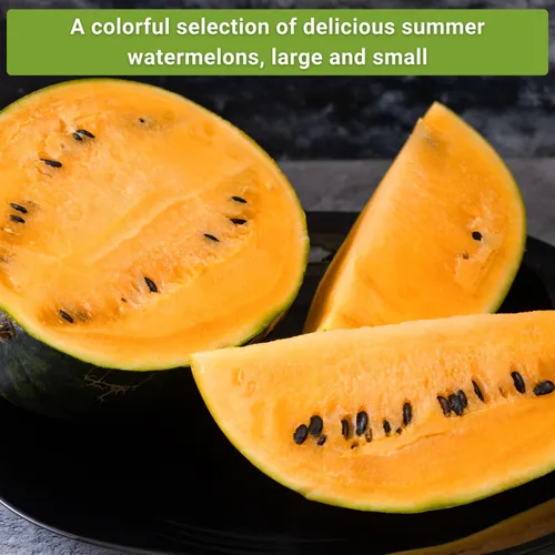 Miniatura 4 de Sow Right Seeds - Colección de semillas de frutas de sandía para plantar - Melones carmesí dulce, dulce dulce, dulce de azúcar, tierno y orangeglo