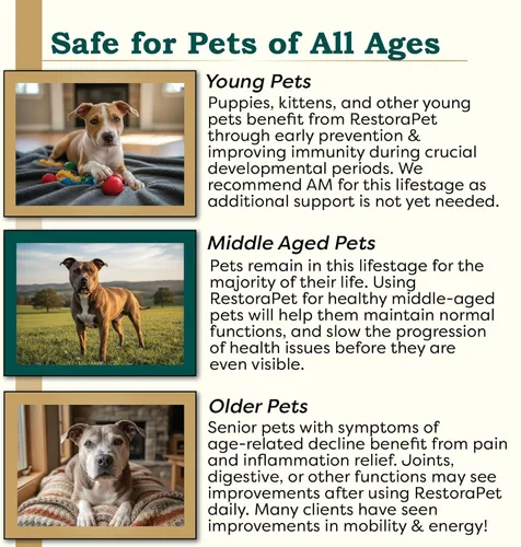 Miniatura 4 de RestoraPet Paquete de 1 multivitamínico líquido sin sabor para perros y gatos Alivio del dolor de la artritis del perro Vitaminas de cadera