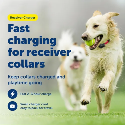 Miniatura 2 de PetSafe Cargador receptor – Cable de carga rápida – Cable de carga USB para valla inalámbrica y sistemas de valla en tierra – Compatible