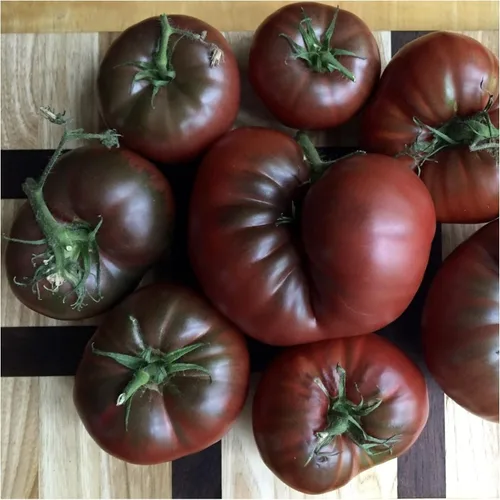 Miniatura 2 de Seed Needs, Black Krim Semillas de tomate – 80 semillas tradicionales o plantación Solanum lycopersicum – Variedad indeterminada sin OMG y sin