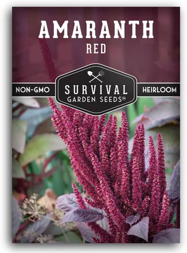 Miniatura 10 de Semillas de amaranto rojo para plantar, verduras de hoja verde comestible y variedad de granos, microgreens de rápido crecimiento o cosecha