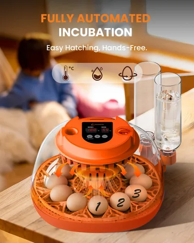 Miniatura 2 de Incubadora de 12 huevos con giro automático y control de humedad, incubadoras completamente automáticas con vela de huevos, kit educativo
