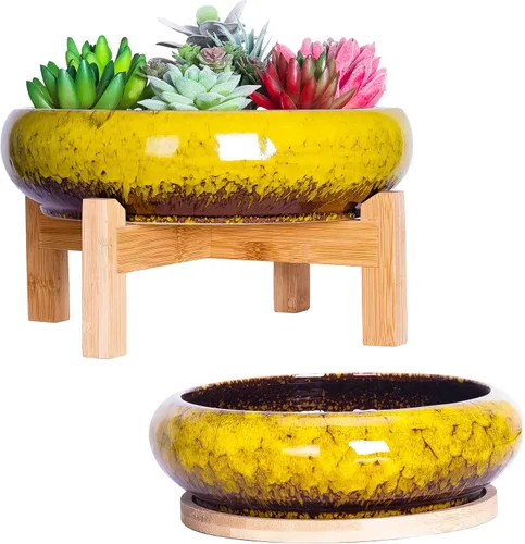 Miniatura 8 de ARTKETTY Macetas para suculentas – Juego de 2 macetas grandes de 7.3/10 pulgadas, maceta de cerámica para bonsái con bandeja de drenaje, macetas