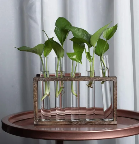 Miniatura 8 de Estación de propagación de plantas de madera de 5 tubos, soporte de terrario de vidrio de mesa para esquejes hidroponía, decoración de escritorio