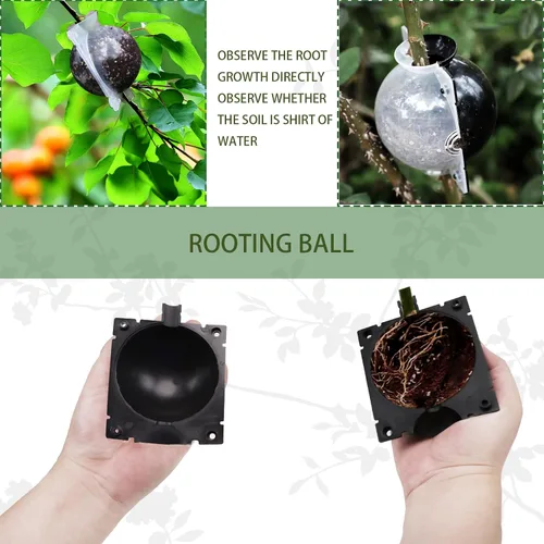 Miniatura 7 de Paquete de 30 cajas de cultivo de raíces de plantas de 3 tamaños con 120 bridas de cremallera, kit de bolas de propagación de capas de aire