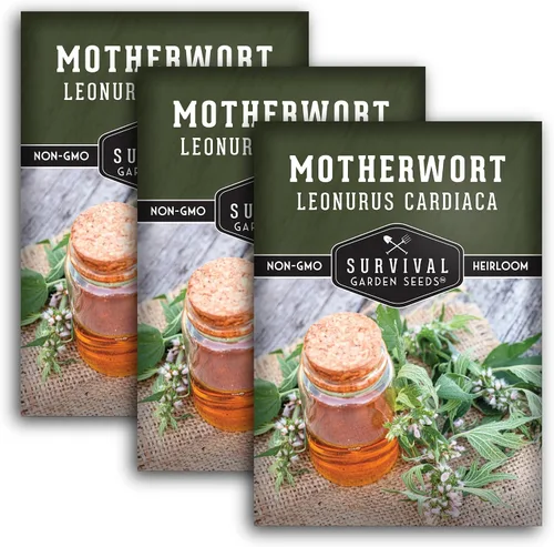 Miniatura 11 de Semillas Motherwort para plantar, Leonurus Cardiaca, hierba medicinal para jardines de boticario y apoyo de polinizadores, semillas de jardín