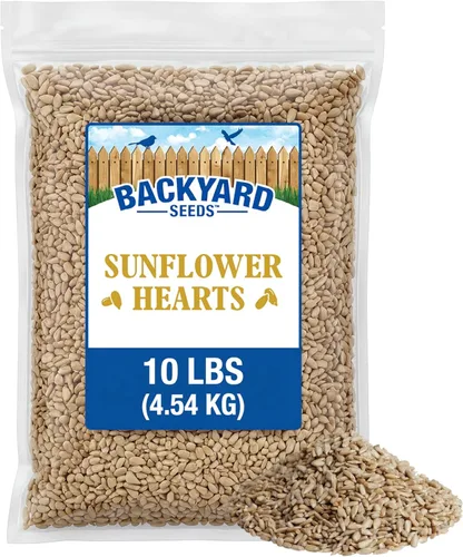 Miniatura 15 de CountryMax Backyard Seeds Semillas de Girasol de Aceite Negro (10 libras)