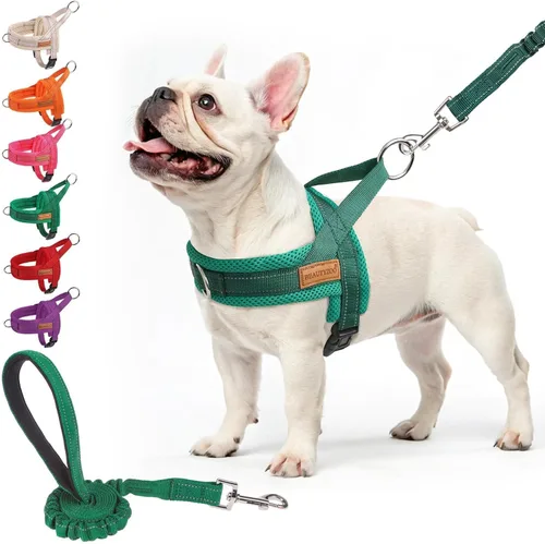 Miniatura 26 de BEAUTYZOO Arnés para Perros Pequeños, Juego de Arnés y Correa sin Tirones, Arnés de Chaleco para Cachorros Suave a Prueba de Escapes con Manija