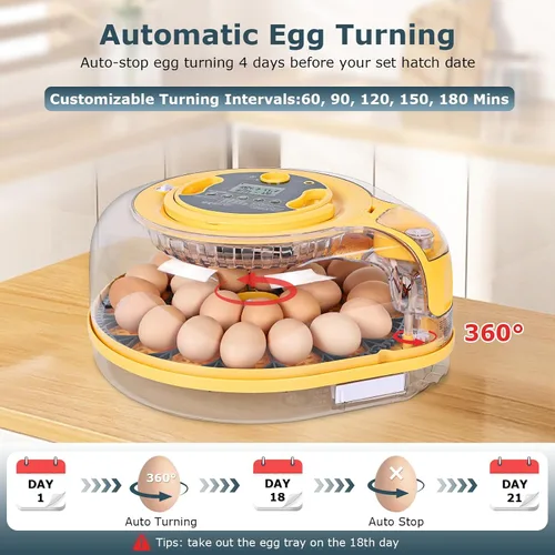 Miniatura 5 de Incubadoras para incubar huevos, incubadora de 18 huevos con vela de huevos, girador automático de huevos, control de temperatura y humedad, día