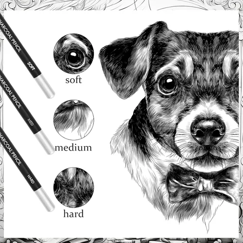 Miniatura 3 de Geyoga 36 piezas de lápices de carbón profesionales suaves, medianos y duros para dibujo, lápices de carbón para bocetos, sombreado, dibujo, mezcla