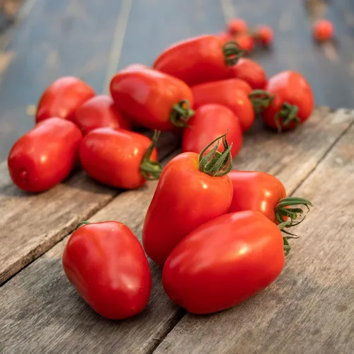 Miniatura 26 de Eden Brothers Semillas de tomate – Semillas de caqui sin OMG para plantar, paquete Semillas de vegetales de bajo mantenimiento, plantas durante