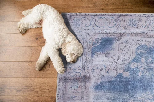 Miniatura 195 de GLN Rugs Traditional Collection - Alfombra de felpilla lavable a máquina, tradicional lavable, antideslizante, alfombra de felpilla de pelo corto