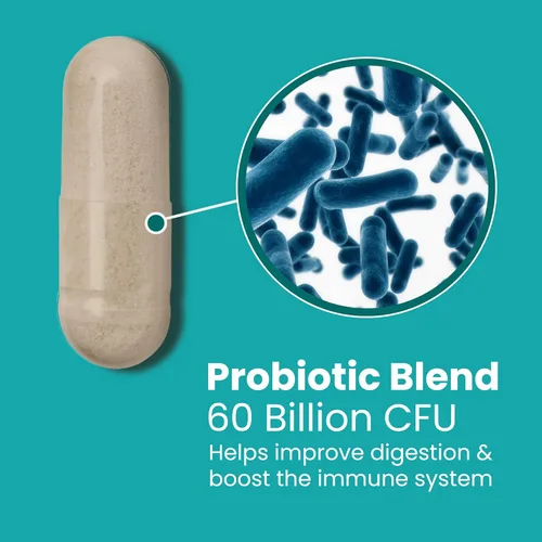Miniatura 4 de Sanar Naturals Probióticos 60 mil millones de UFC 10 cepas con prebióticos para la salud digestiva intestinal e inmune Soporte GLP-1