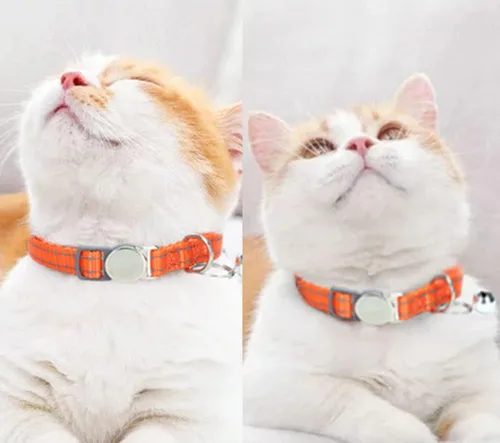 Miniatura 6 de Collares de gato con etiqueta de nombre, placa grabada personalizada, número de teléfono, collar de gatito con campanas ajustables para lindas
