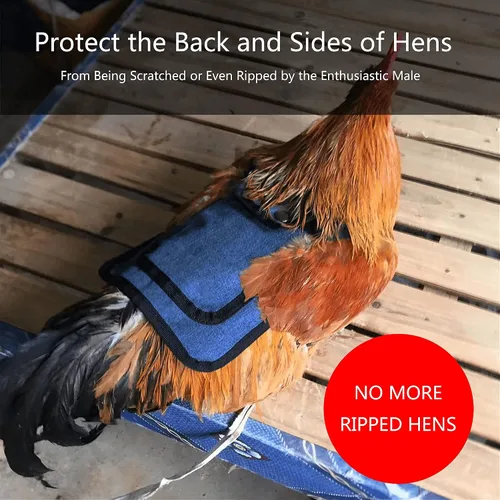 Miniatura 3 de Sillines de pollo de alta calidad de 3 piezas con correa elástica, ropa de suéter para soltero, protector de pájaros para espalda y lados