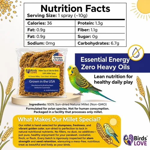 Miniatura 7 de Birds LOVE Puntas y Colas de Mijo para Aves - Periquitos, Cacatúas, Periquitos, Pinzones, Cotorras, Canarios, Cacatúas - Mijo Natural y Saludable