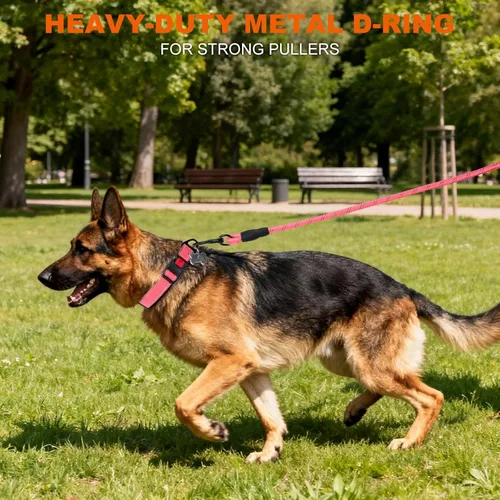 Miniatura 6 de Taglory Collar reflectante para perros grandes, de neopreno suave acolchado con hebilla de bloqueo a prueba de escapes, anillo de aleación de zinc
