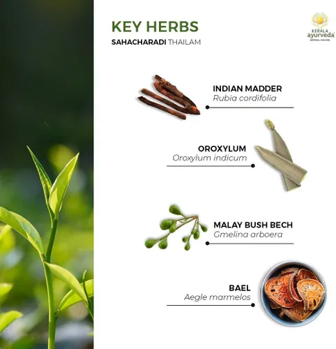 Miniatura 5 de Kerala Ayurveda Sahacharadi Thailam - 6.76 onzas líquidas Aceite corporal de masaje a base de hierbas Aceite de apoyo de espalda baja y piernas