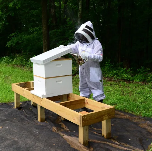 Miniatura 7 de Traje de abeja de 3 capas con velo de esgrima un par de guantes a prueba de picaduras traje de apicultura ventilado Blanco