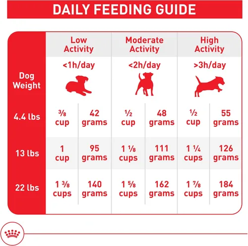 Miniatura 8 de Royal Canin Size Health Nutrition - Alimento seco para perros adultos de interior pequeño, bolsa de 2.5 libras