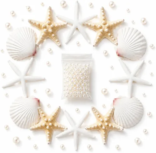 JSPYFITS Estrellas de mar grandes de 2.5 a 4 pulgadas y conchas de vieira para manualidades, 12 unidades, conchas naturales de mar de playa para
