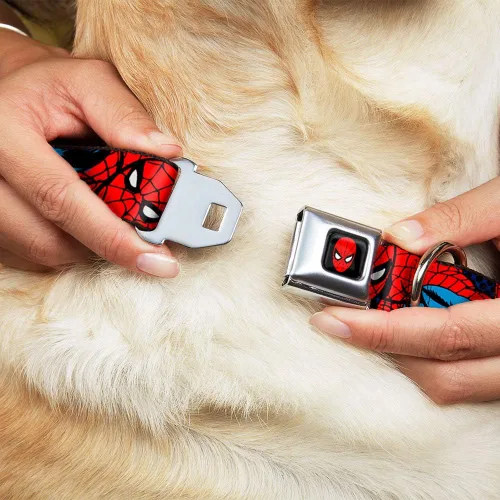 Miniatura 8 de Buckle-Down Collar de perro con hebilla de cinturón de seguridad, increíble Spider-Man, 1 pulgada de ancho, se adapta a cuello de 11 a 17 pulgadas