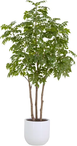 Miniatura 11 de CG Hunter Árbol de filodendro sintético, soporte de árbol artificial de alta calidad para interiores, 3 pies de alto, hojas realistas y tronco
