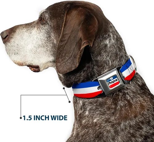 Miniatura 7 de Collar de perro hebilla de cinturón de seguridad Mopar Logo Stripe Azul Blanco Rojo 9.5 a 13 pulgadas 1.0 pulgadas de ancho