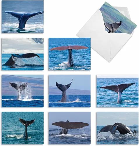 Miniatura 8 de The Best Card Company - 10 tarjetas en blanco para todas las ocasiones (4 x 5.12 pulgadas) - Surtido de tarjetas náuticas, oceánicas, de vida marina