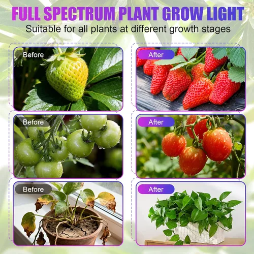 Miniatura 6 de Luz de crecimiento de plantas con clip para interiores, luz de crecimiento de espectro completo con 156 LED, cuello de cisne flexible y temporizador