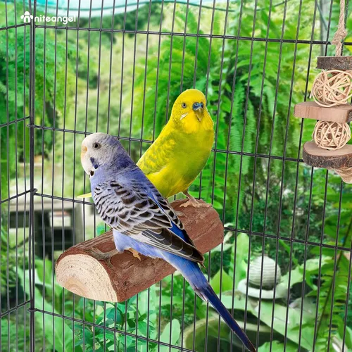 Miniatura 5 de Niteangel Percha de jaula para loros, plataforma de madera para pájaros (paquete de 1)