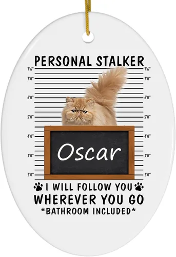 Personal Stalker I Will Follow You - Gato persa de canela con nombre personalizado, adornos de Navidad 2023 ovalados de cerámica blanca, regalo para